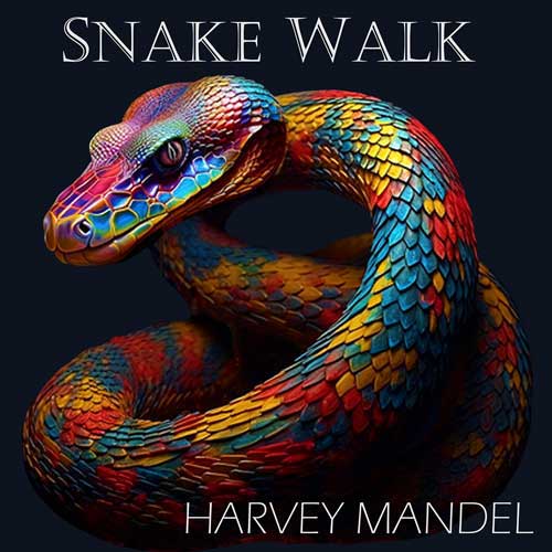 Harvey Mandel Snake Walk album cover by Steven Hausheer, Chicago digital creator, designer, marketer and content producer